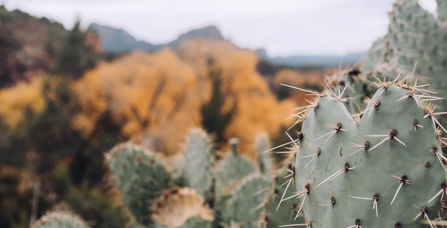 Cityscape photo of GiftYa location in Phoenix, AZ