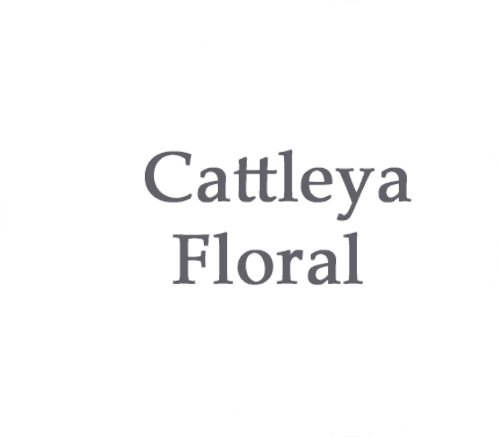 GiftYa wrapper