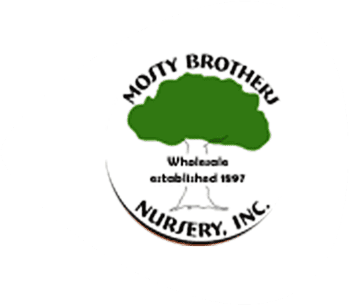 GiftYa wrapper