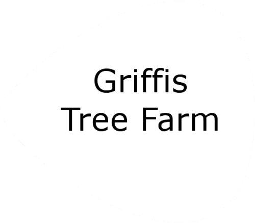 GiftYa wrapper