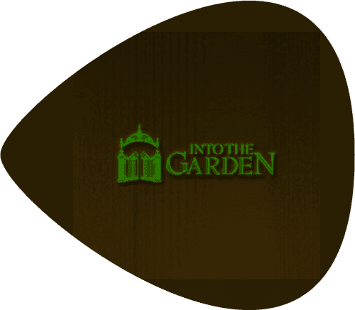 GiftYa wrapper