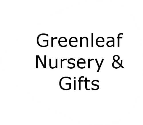 GiftYa wrapper