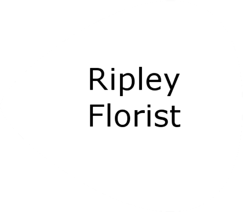 GiftYa wrapper
