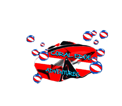 GiftYa wrapper