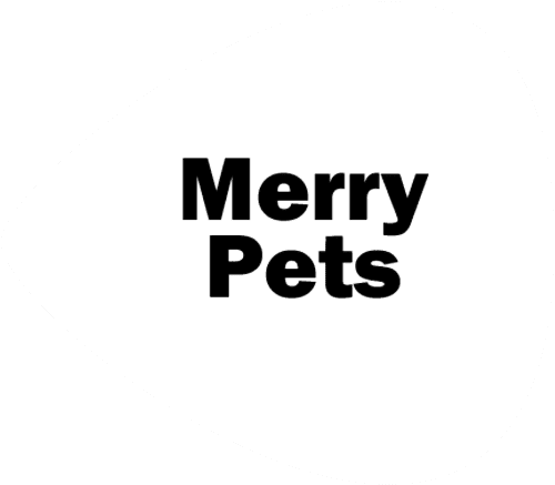 GiftYa wrapper